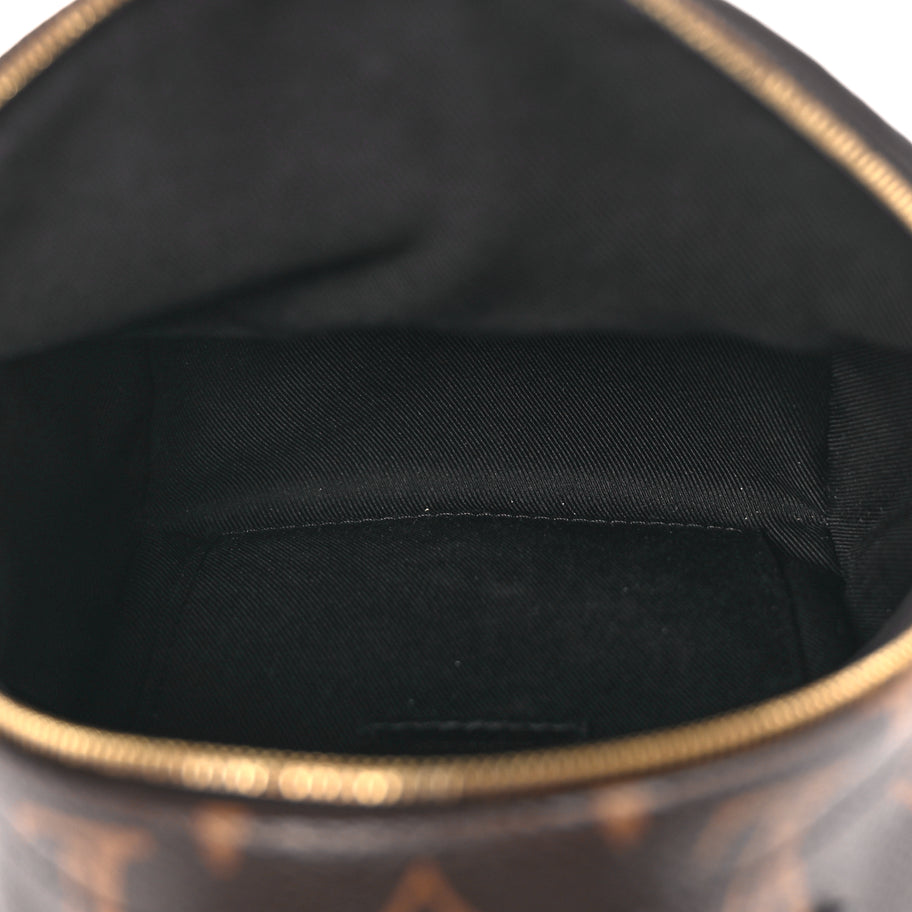 Louis Vuitton Monogram Palm Springs Backpack Mini Image 4