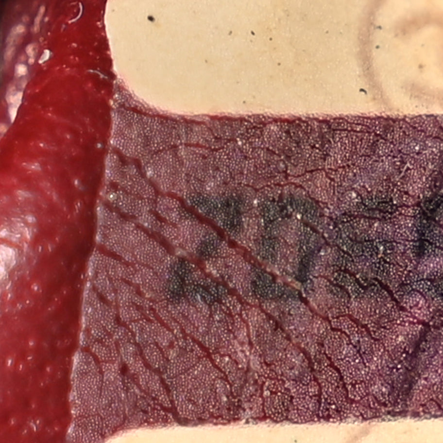 Chanel Lambskin Quilted Small Single Flap Black Black Image 6