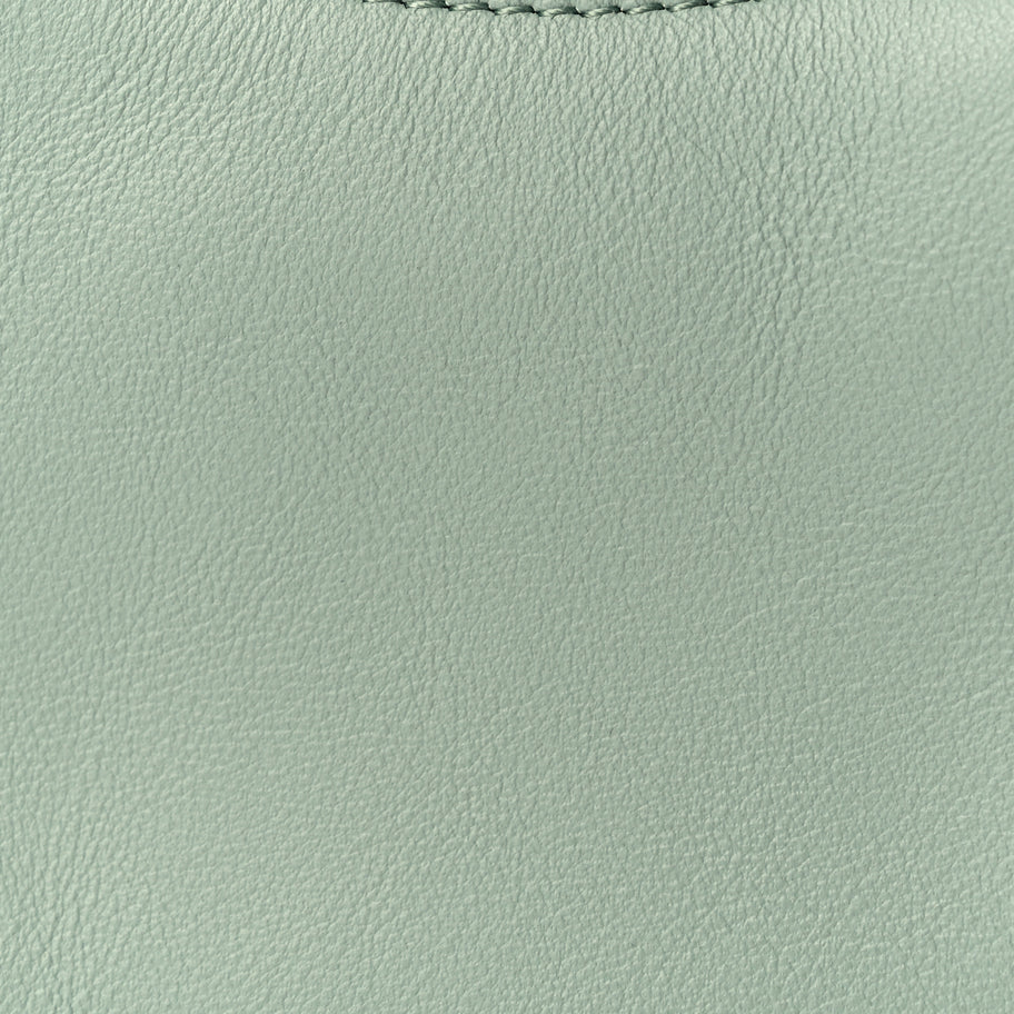 Fendi Vitello Grace New Matte Nano Fendigraphy Hobo Charm Menta Image 14