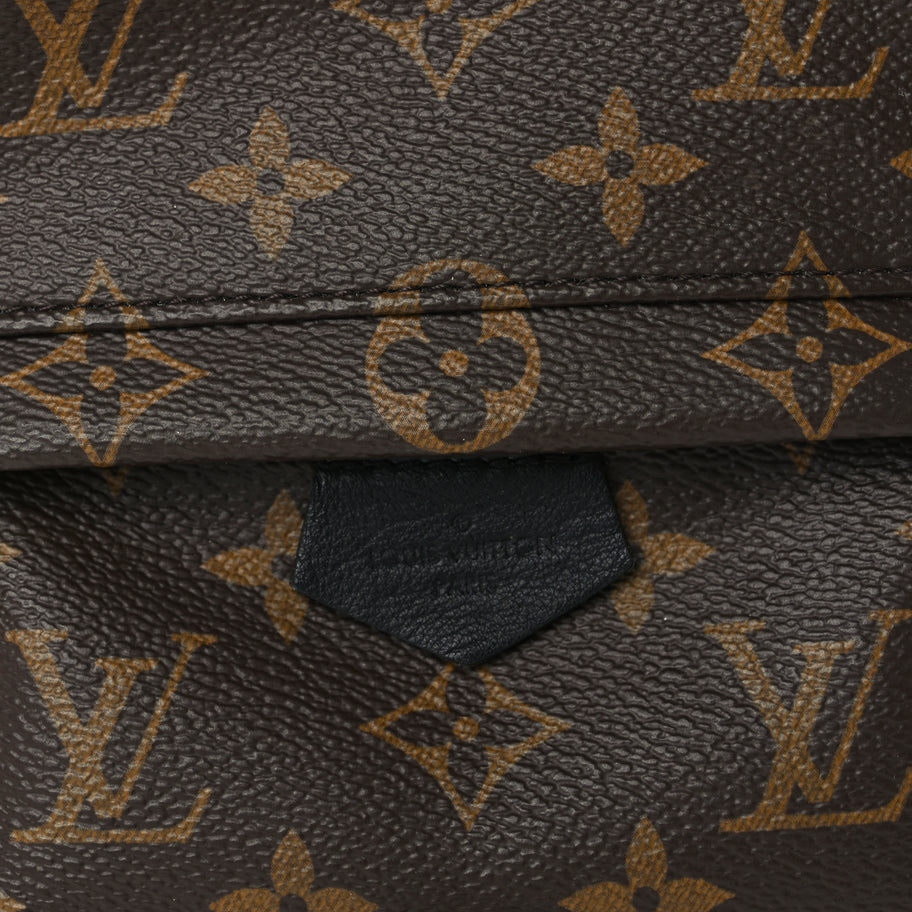 Louis Vuitton Monogram Palm Springs Backpack Mini Black Image 6