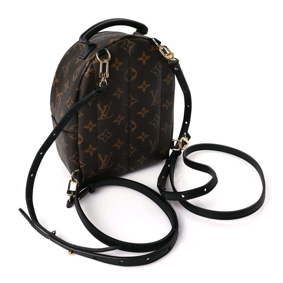 Louis Vuitton Monogram Palm Springs Backpack Mini Louis Vuitton Monogram Palm Springs Backpack Mini