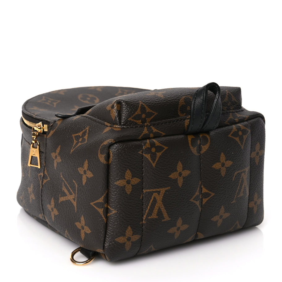 Louis Vuitton Monogram Palm Springs Backpack Mini Image 3