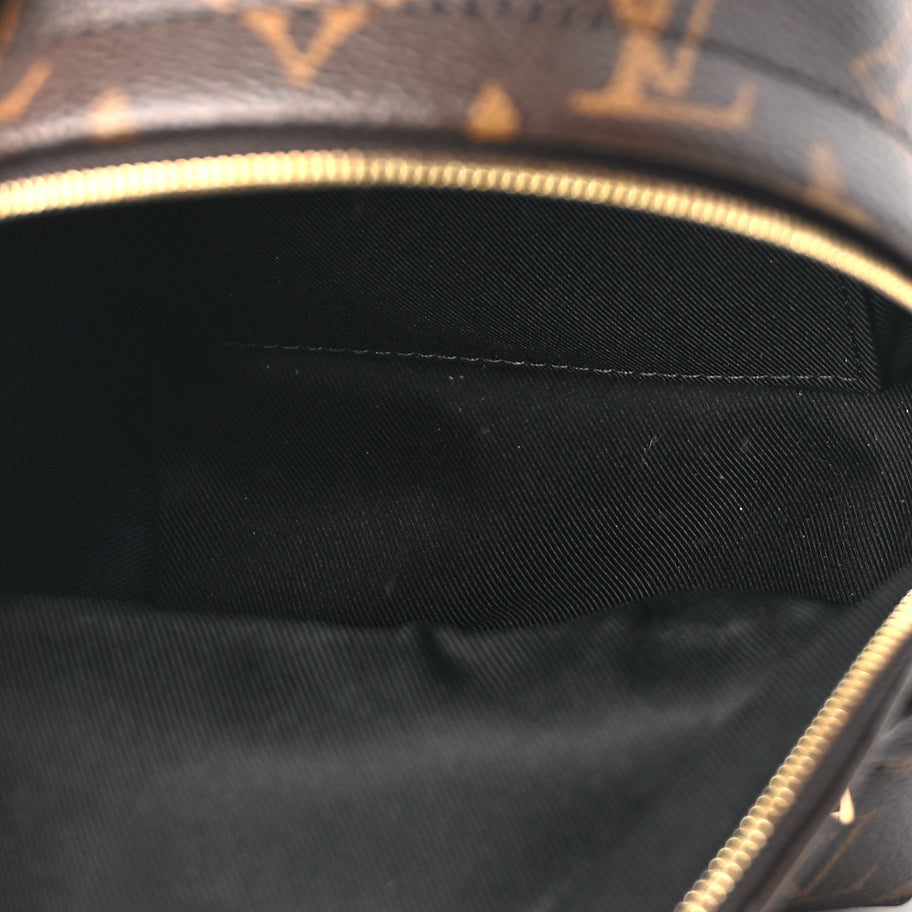 Louis Vuitton Monogram Palm Springs Backpack Mini Image 4