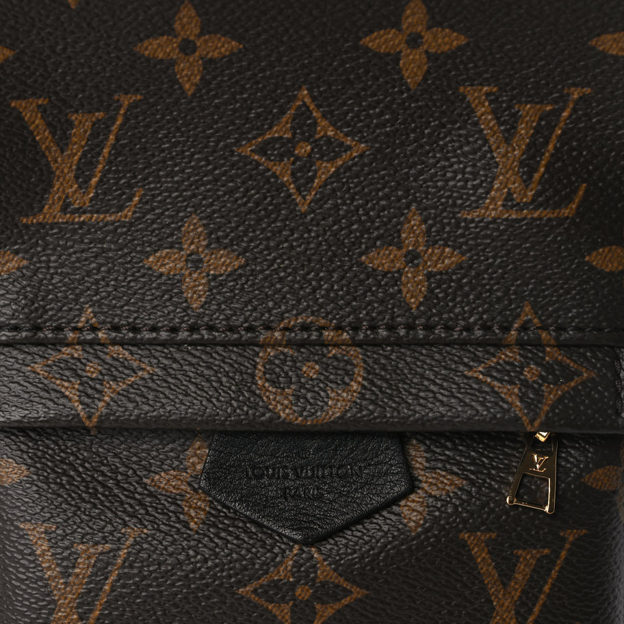 Louis Vuitton Monogram Palm Springs Backpack Mini Image 6