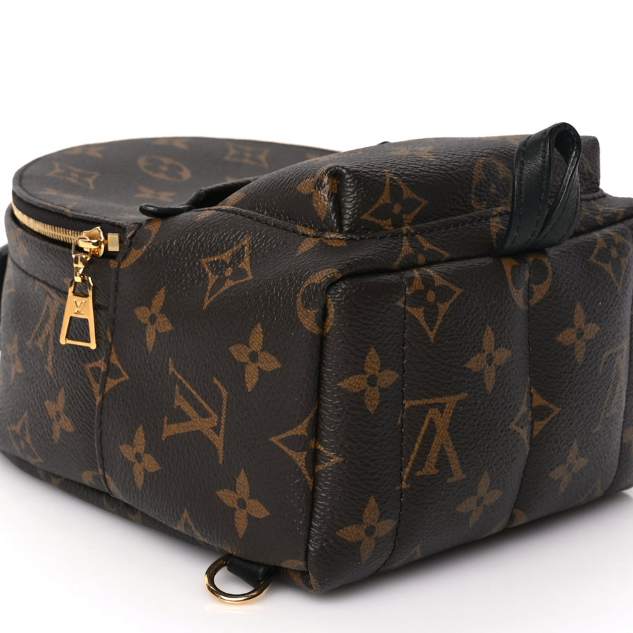 Louis Vuitton Monogram Palm Springs Backpack Mini Image 7