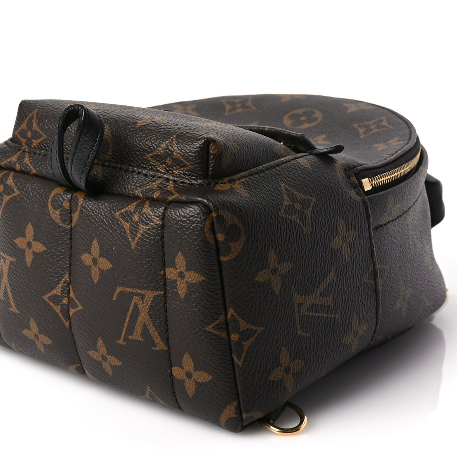 Louis Vuitton Monogram Palm Springs Backpack Mini Image 8