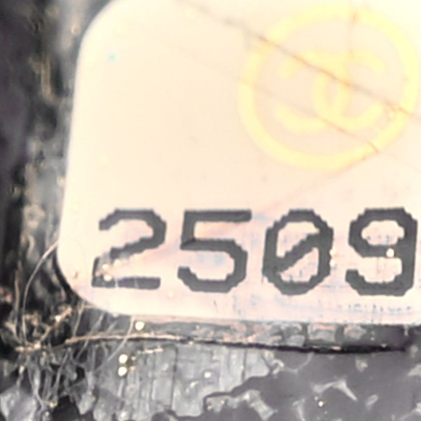 Chanel Iridescent Crumpled Calfskin Small Coco Pleats Backpack Black Image 6