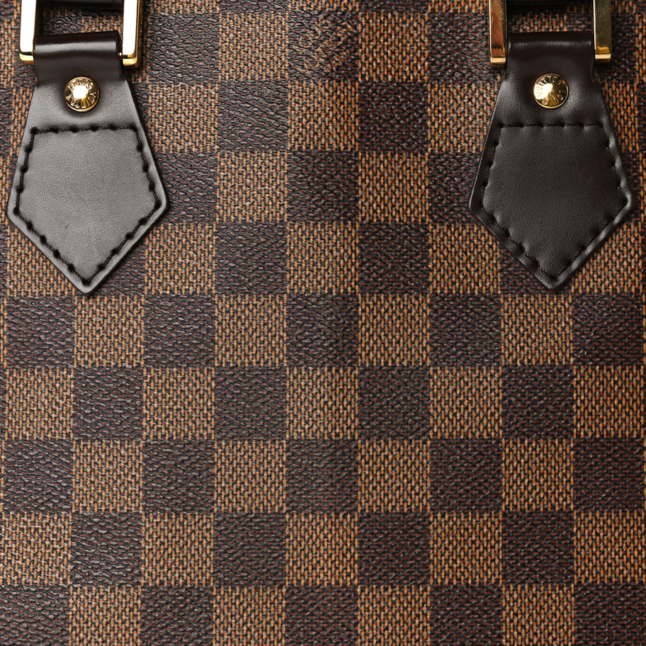 Louis Vuitton Damier Ebene Alma PM Image 6