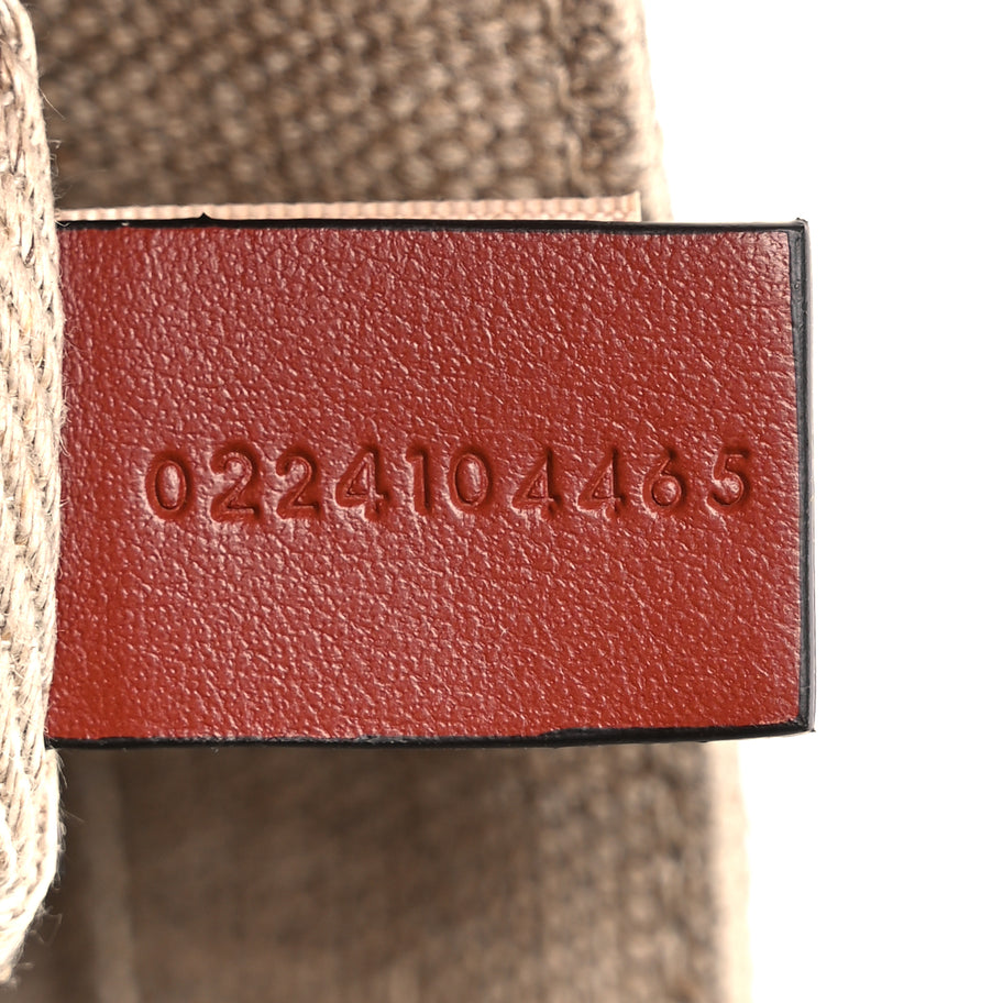 Chloe Cotton Calfskin Mini Woody Ribbon Tote White Brown Image 6