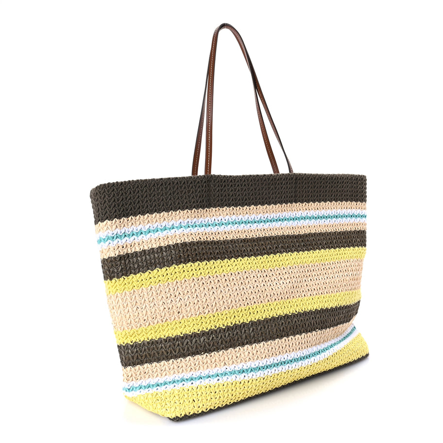 Miu Miu Raffia Crochet Stripe Tote Bag Tundra Limone Natural Image 2
