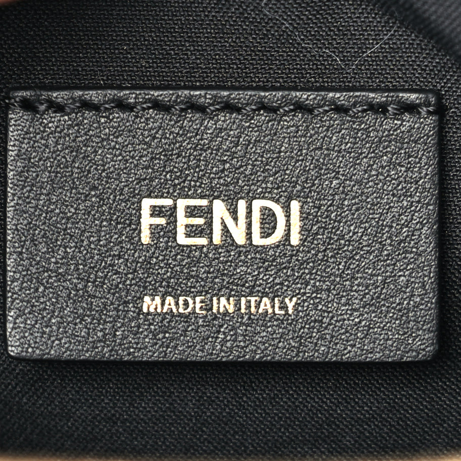 Fendi Vitello Grace Matte Medium Fendigraphy Hobo Bag Black Image 5