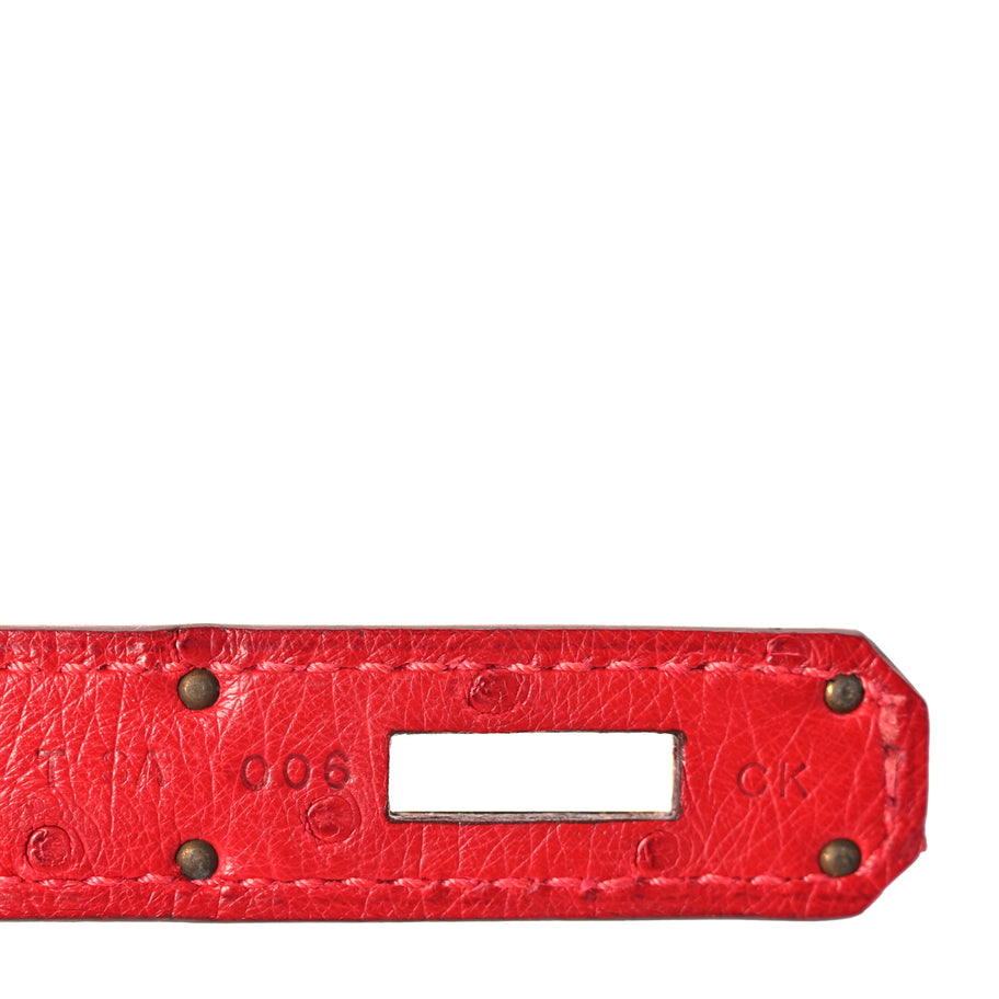 Hermes Ostrich Birkin 30 Rouge Vif Image 6