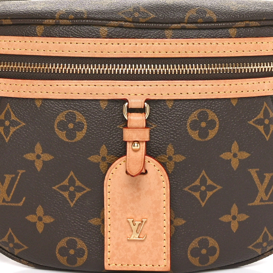 Louis Vuitton Monogram High Rise Bumbag Image 7