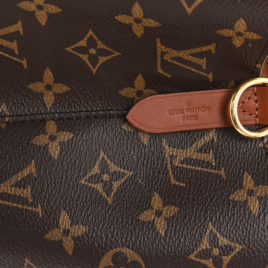 Louis Vuitton Monogram Neonoe MM Caramel Image 6