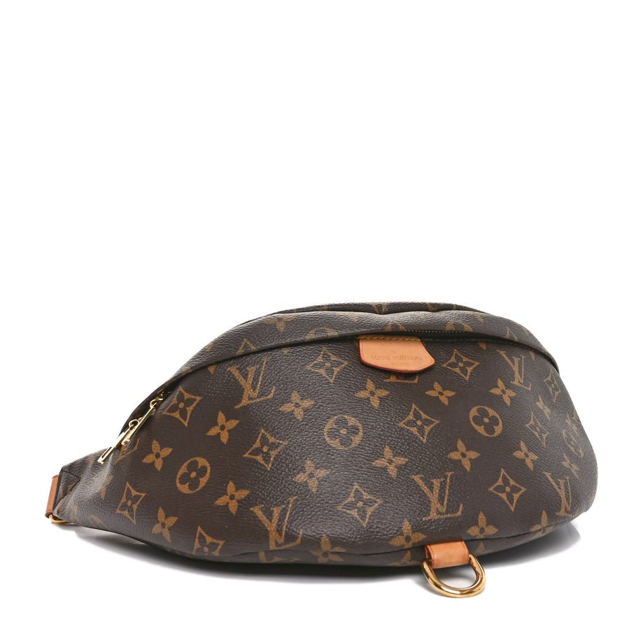 Louis Vuitton Monogram Bumbag Image 4