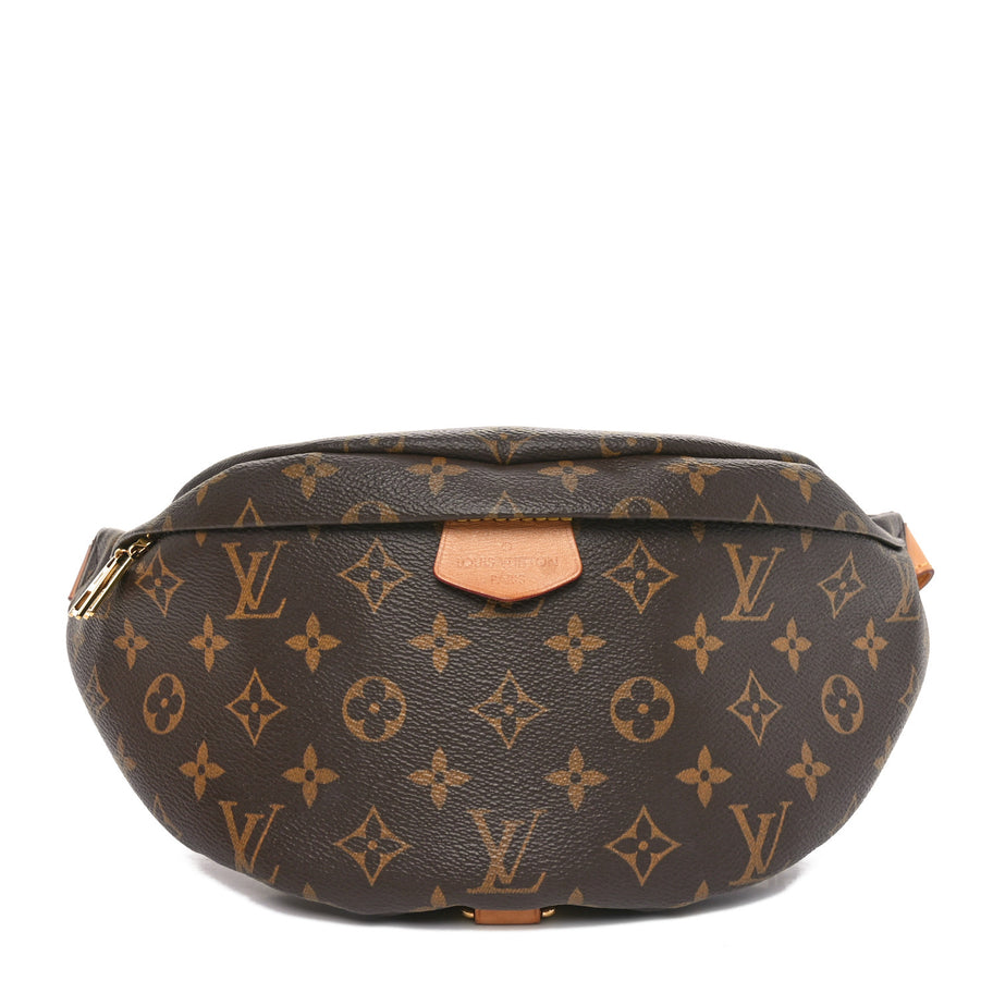 Louis Vuitton Monogram Bumbag Image 1