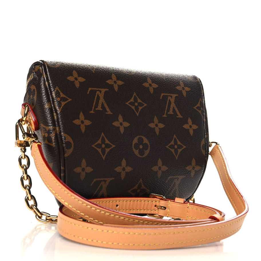 Louis Vuitton Monogram Mini Bumbag Image 3