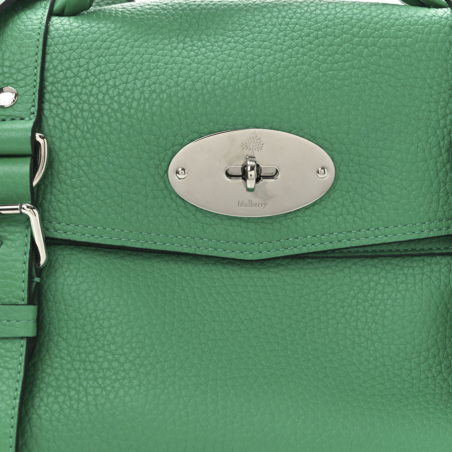 Mulberry Heavy Grain Medium Alexa Lawn Green Image 7