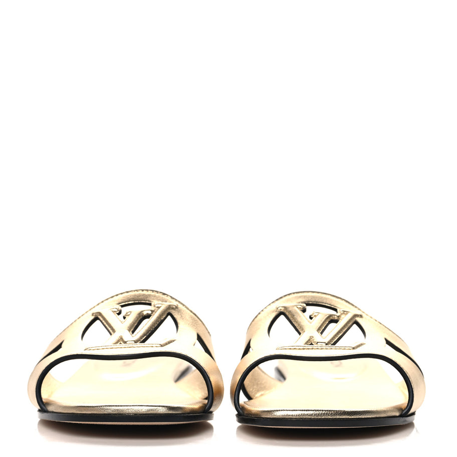 Louis Vuitton Metallic Calfskin LV Isola Flat Sandals Gold Image 3