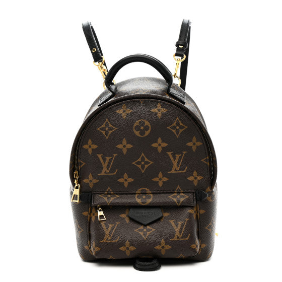 Louis Vuitton Monogram Palm Springs Backpack Mini Image 1