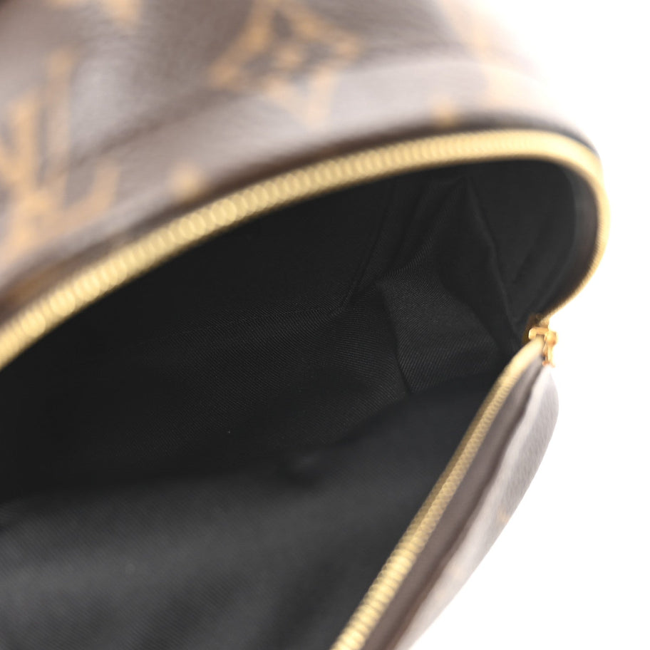 Louis Vuitton Monogram Palm Springs Backpack Mini Image 5