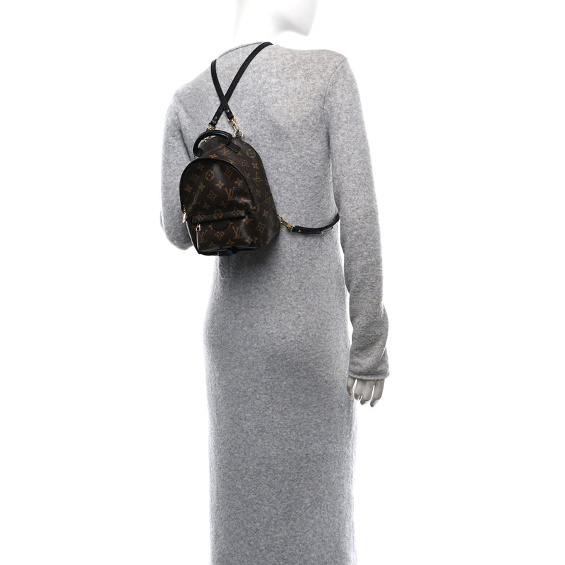  Louis Vuitton Monogram Palm Springs Backpack Mini